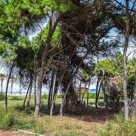 1 Bedroom Gorgeous In Apartamento *